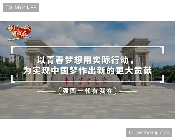 维尔茨的实际贡献与舆论评价是否存在落差？